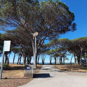 Ticket: Cocoa by the Bay  -